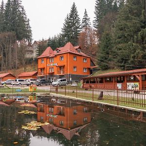 Vila Bradul Otel Kızıl Göl Exterior photo