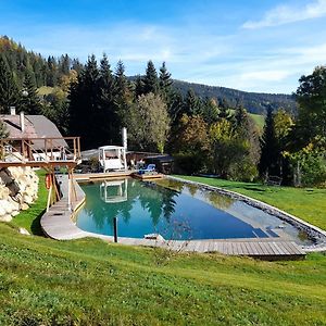 Ferienhaus Pliescherhof Villa Turnau Exterior photo