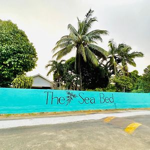 The Sea Bed Seychelles Daire Beau Vallon  Exterior photo