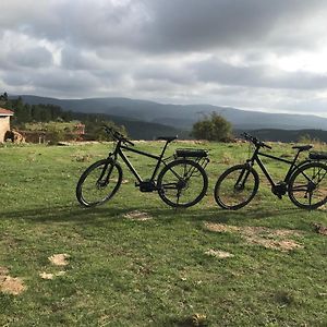 Sierra De Gudar Daire Exterior photo