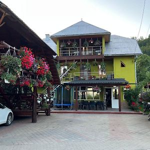 Pensiunea Gaiu Otel Albac Exterior photo