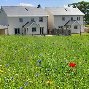 Family Country Cottage With Stunning Mountain View Sleeps 12 Myddfai Exterior photo