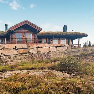 Gorgeous Home In Vrdal With Wifi Vrådal Exterior photo