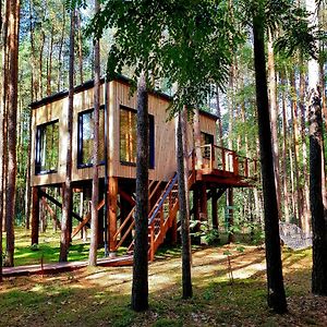 Tree Houses Olszanka Puszcza Marianska Exterior photo