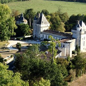 Chateau De Mornay Daire Saint-Pierre-de-l'Isle Exterior photo