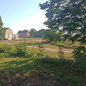 Superbe Studio Cosy Spacieux Au Rez De Chaussee Daire Denain Exterior photo