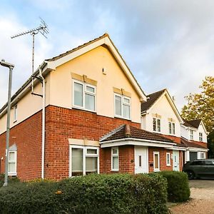 Comfortable 3 Bed House In Chelmsford Exterior photo