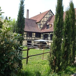 Domaine Du Moulin Im Elsass Otel Bischwiller Room photo