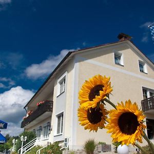 Landgasthof Am Sonnenhang Otel Vohenstrauss Exterior photo