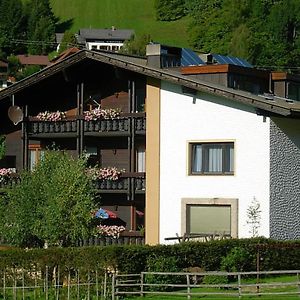 Haus Nadja Daire Bad Kleinkirchheim Exterior photo