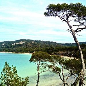 Ile De Porquerolles : T3 Climatise Vue Mer Daire Exterior photo