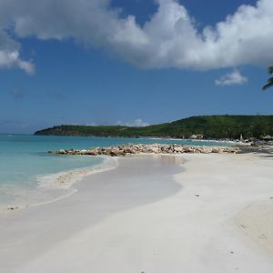 Buccaneer Beach Club Apart otel Dickenson Bay Exterior photo