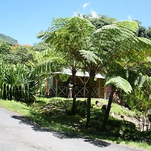 Natty Tropical Valley Otel Roseau Exterior photo