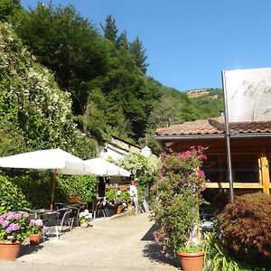 Hotel Restaurante Marroncin Cangas De Narcea Exterior photo