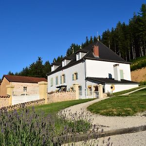 Le Domaine De La Source Otel Chauffailles Exterior photo