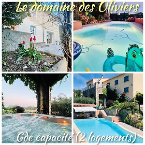 Le Domaine Des Oliviers Ales Piscine Jacuzzi Sauna Daire Exterior photo