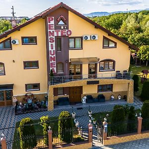 Pensiunea Teo Otel Caransebeş Exterior photo