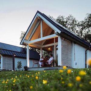 Tiny House - Optioneel Met Hottub Daire Dokkum Room photo