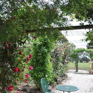 Fairy Wren Cottage Country To Coast Retreat Wallington Room photo