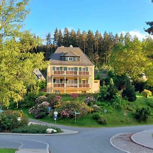 Ferienwohnungen Villa Goldbrunnen Bad Elster Exterior photo