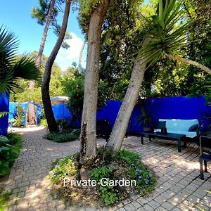 Studio With Beautiful Private Garden On The Forest In Domino Daire Les Sables Vignier Exterior photo