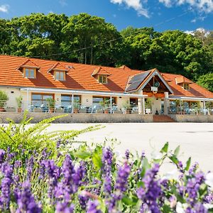 Lepke Apartmanhaz Es Etterem Otel Tihany Exterior photo