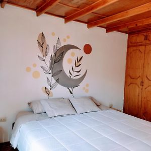 Casa Tribu Daire Huaraz  Room photo