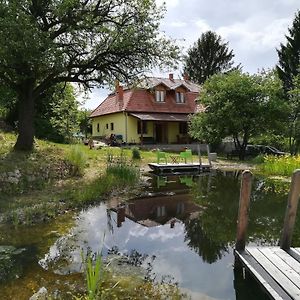 Ferienhaus Mit Biologischem Schwimmteich Csernely Exterior photo