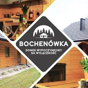 Bochenowka Villa Rogowo  Exterior photo
