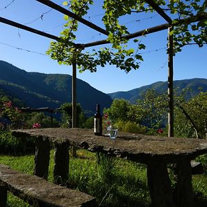 Wild Valley Garden Paradise In Valle Onsernone Daire Auressio Exterior photo