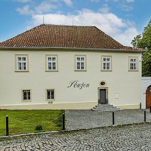 Penzion Popelka Otel Roudnice nad Labem Exterior photo