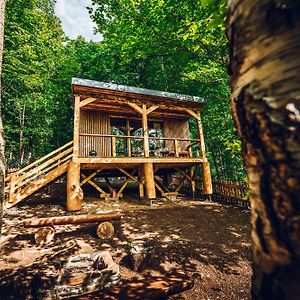 Treehouse Obrovisko Muran Daire Room photo