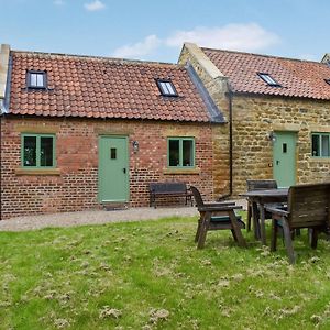 The Owls Nest Villa Liverton Exterior photo