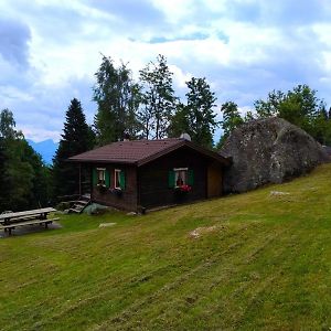 Chalet Al Sasso Da Pino, Telve Ospitar Daire Exterior photo