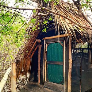 Eco Hostal Tonatiuh Otel Mazunte Exterior photo