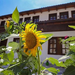 The House Of Dollma , Inside Kruja Castle Otel Exterior photo