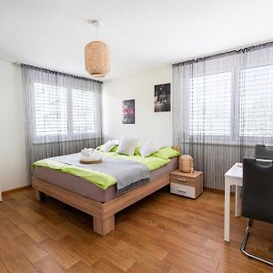 Cozy Studio Einigen Daire Spiez Exterior photo