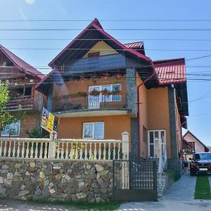 Casa Diana-Maria Daire Curtea de Argeş Exterior photo