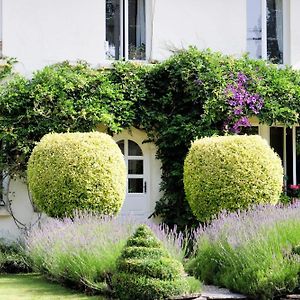 1 Of 2 Luxury Holiday Home At St Emilion Braz, Carhaix 10 Minutes Plévin Exterior photo