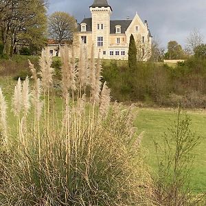 Chateau De Bellevue B&B Et Appartements Avec Piscine Chauffee Et Chambres Partout Climatisees Saint-Avit  Exterior photo