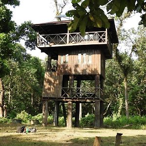 Typical Nepali Kitchen - No Pizza - No Pasta - No Problem !! Otel Sauraha Exterior photo