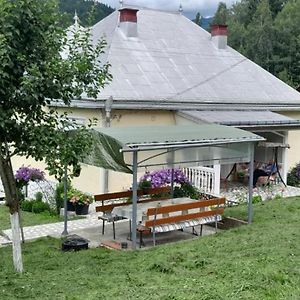 Casa Denisa Villa Borşa Exterior photo