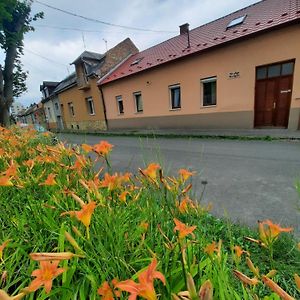 Kis Rigo Vendeghaz Otel Salgótarján Exterior photo