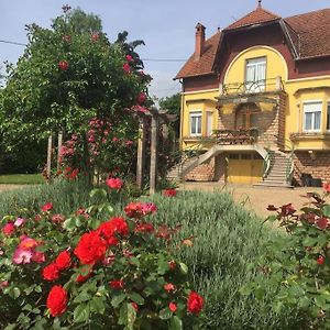 Bourgogne Grande Maison Avec Jardin A La Francaise Villa Pontailler-sur-Saone Exterior photo