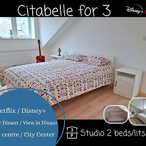 O Reflets - Citabelle For 3 - Studio 2 Beds View "Citadelle" Otel Dinant Exterior photo