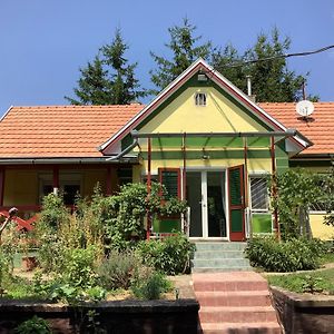 Ferienhaus Balaton Villa Szolosgyorok Exterior photo