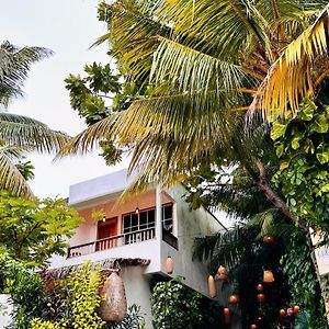 Odi Kamadhoo Otel Exterior photo