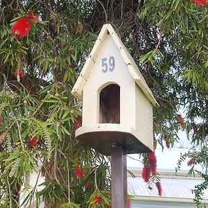 Charming 100 Yr Old Cottage In The Heart Of Moonta Exterior photo