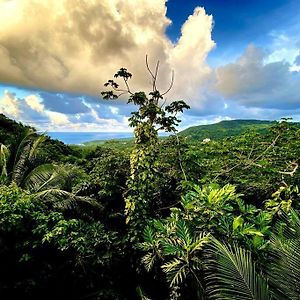 Magical San San Port Antonio Close To Blue Lagoon Frenchman'S Cove Villa Exterior photo