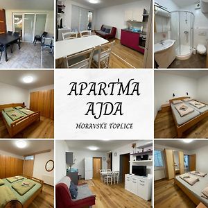 Apartma Ajda Daire Moravske-Toplice Exterior photo